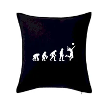 Evoluce volejbal culík