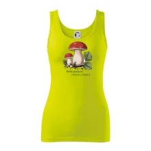 Hřib smrkový - Boletus edulis kreslený