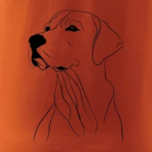 Labrador černá kresba