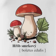 Hřib smrkový - Boletus edulis kreslený