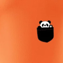 Panda v kapse