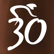 Cyklista slaví třicítku (30)