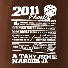 2011 v kostce