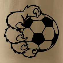 Medvědí tlapa fotbal