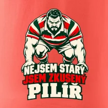 Nejsem starý, jsem zkušený pilíř