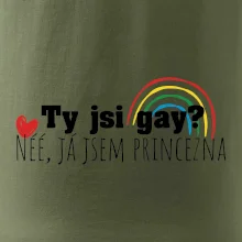 Gay princezna