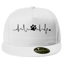 Ekg psí tlapka Ekg psí tlapka