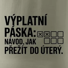 VÝPLATNÍ PÁSKA: Návod, jak přežít do úterý