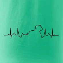 Stafordšírsky bulteriér EKG