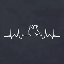 Border kolie EKG