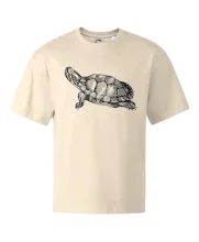 Tužkou kreslená želva