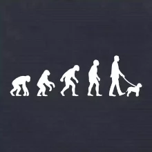 Lagotto romagnolo Evoluce