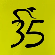 Cyklista slaví pětatřicítku (35)