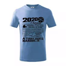 2020 v kostce