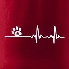 Veterinář EKG