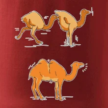 Pravda o velbloudech