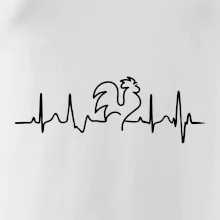 Kohout ekg Kohout ekg