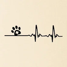 Veterinář EKG