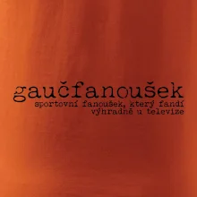 Čeština 2.0 - gaučfanoušek