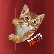 Řekl někdo slovo party