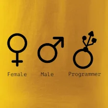 Female male programmer