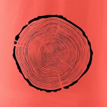 Letokruhy 85 bez věku