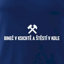 BINEĆ V KSICHTĚ A ŠTĚSTÍ V KOLE﻿