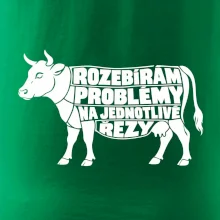 Rozebírám problémy na jednotlivé řezy