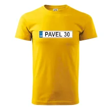 SPZ Pavel 30