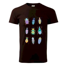 Barevní brouci (studio-arte.cz)