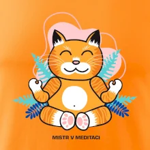 Kočka - mistr v meditaci (Pecka design)