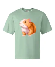 Morče - kreslené, bílo oranžové