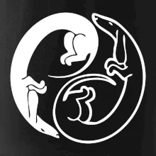 Jezevčíci - Jin jang