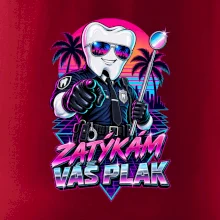Zatýkám váš plak