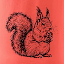 Zvířata Krkonoš – veverka obecná