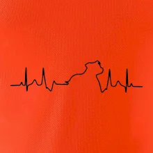 Stafordšírsky bulteriér EKG