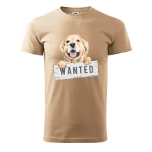 Zlatý retriever - štěně wanted