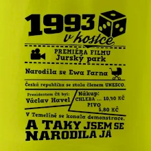 1993 v kostce
