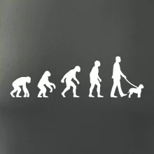 Lagotto romagnolo Evoluce muž / žena