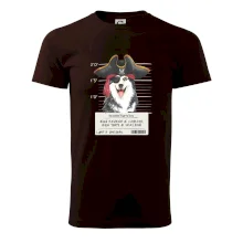 Lump a darebák husky