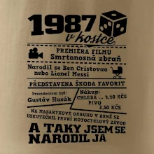 1987 v kostce