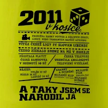 2011 v kostce