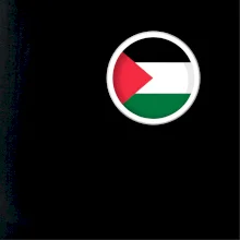 Palestina vlajka prso