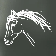 Kůň - hlava celá
