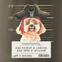 Lump a darebák pudl