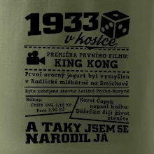 1933 v kostce