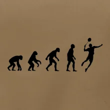 Evoluce Badminton