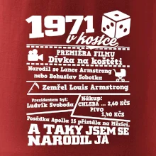 1971 v kostce