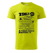 1963 v kostce