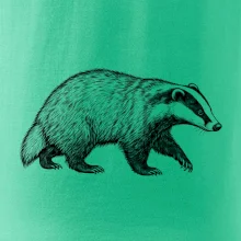 Zvířata Krkonoš – jezevec lesní